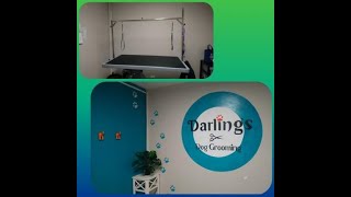 Grooming Room Reno - Logo Painting by Dog Grooming Trans-fur-mations 19 views 3 years ago 2 minutes, 42 seconds