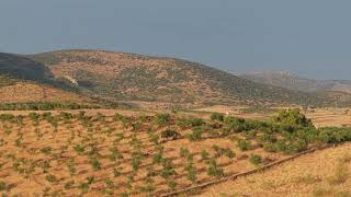 Zorita, Provincia De Cáceres. Extremadura.