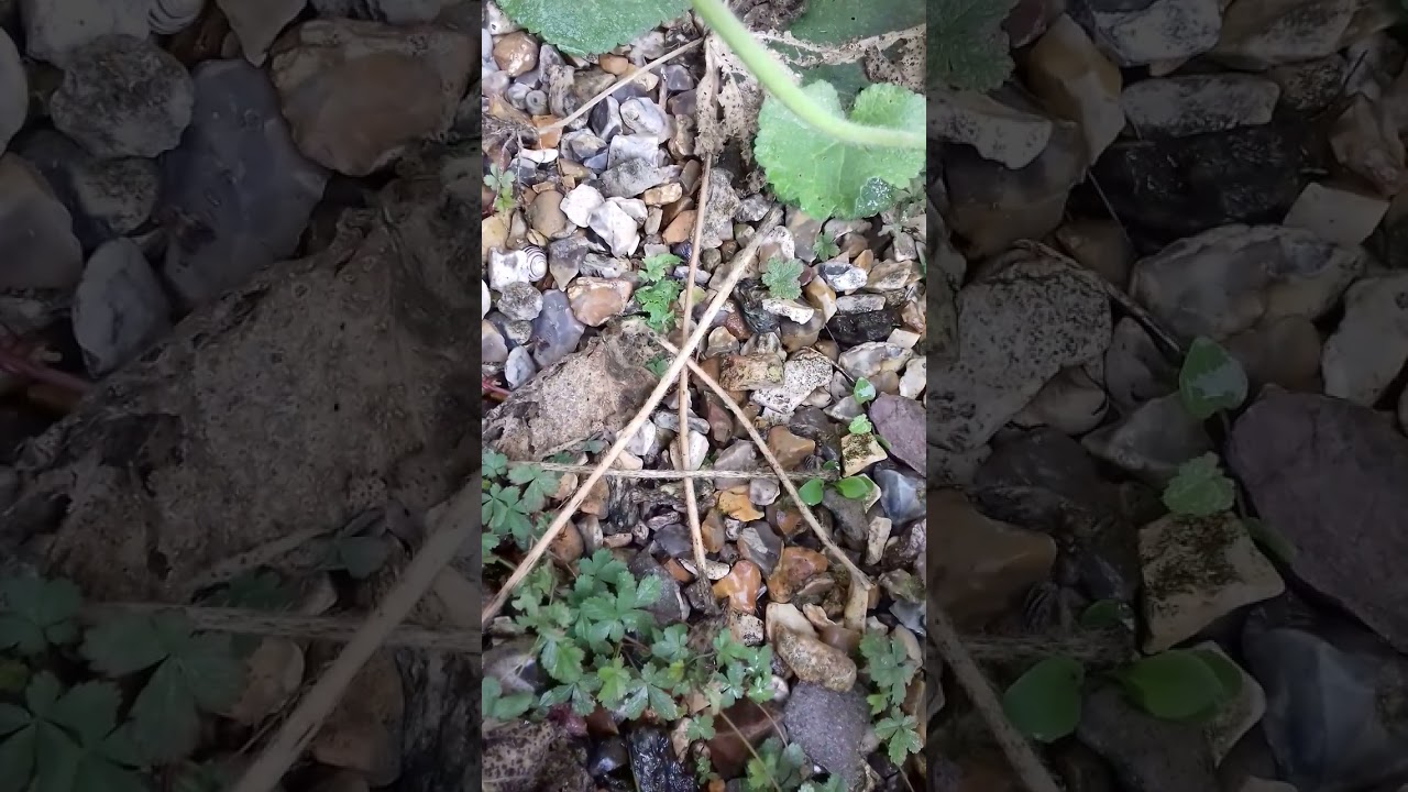 Messages in the sticks!🪄 