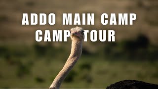 ADDO MAIN CAMP: A Full Tour of the Camp | Safari in Addo Elephant National Park, South Africa