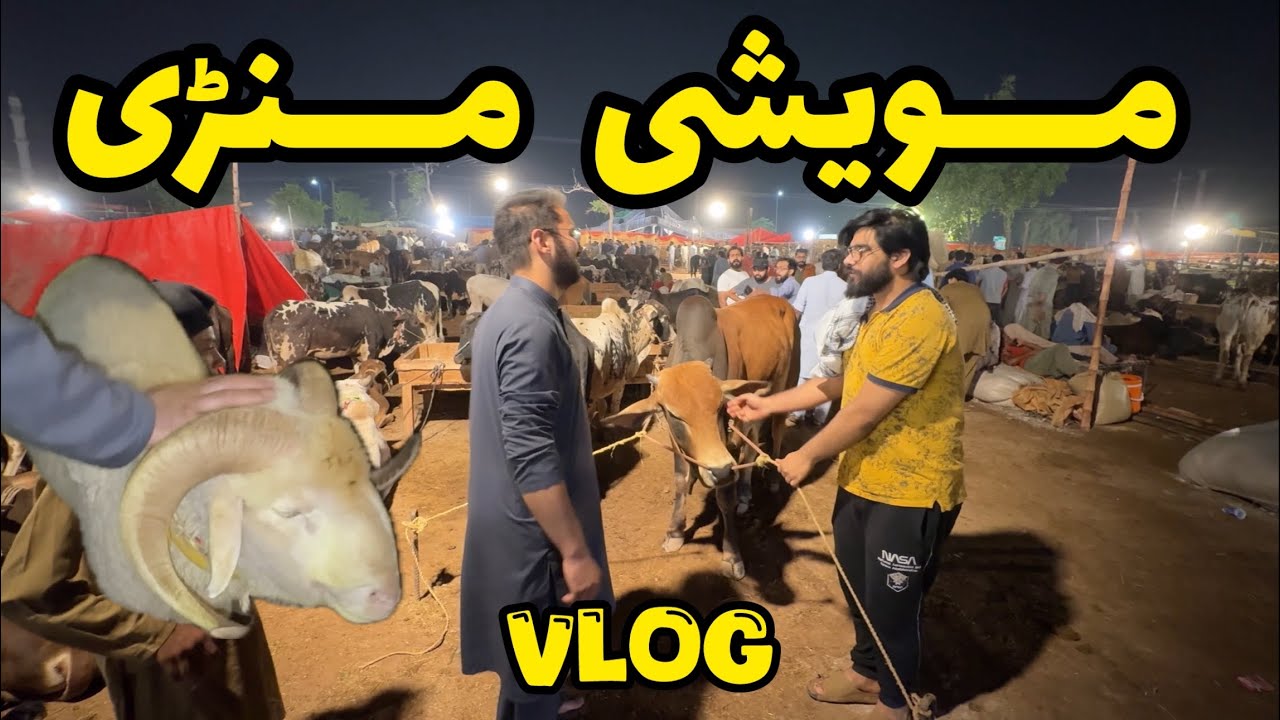 Zai Masjid Mandi Vlog 2025