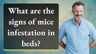 What are the signs of mice infestation in beds? How Do Mice Enter Beds
