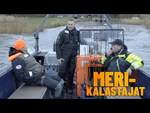 Video: Kuinka Keittää Liemi: Käytännön Opas