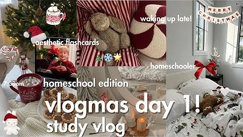 VLOGMAS DAY 1 ₊౨ৎ ₊✩🎄|| study vlog, homeschooler, aesthetic notes