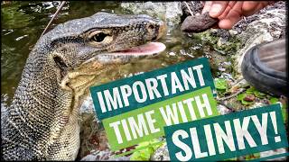 Catching Up With Slinky, Snaggletooth & Dale!