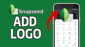 How to Add Logo in Snapseed 2024?