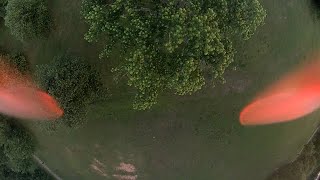 Micro Reverb Maiden - 3 Inch That Flies Like a Five Inch