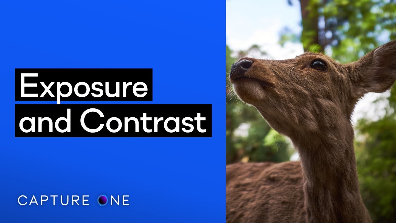 Capture One Pro Tutorials | Exposure and Contrast