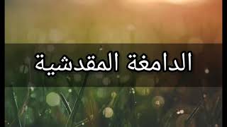 الدامغة المقدشية هجاء ملتقى أهل التفسير..