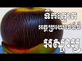 អត្ថប្រយោជន៏ដ៏អស្ចារ្យនៃទឹកត្នោតជួយដល់សុខភាព - Health Inform