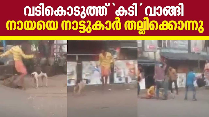 വടികൊടുത്ത് 'കടി' വാങ്ങി, നായയെ നാട്ടുകാർ തല്ലിക്കൊന്നു | Dog