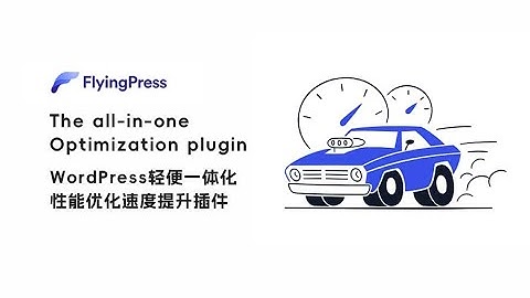 WordPress轻便强大一体化性能优化Flyingpress下载使用视频