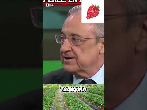 Mbappé al equipo? ¡No puedo dormir! 🍓