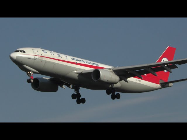 超激レア　四川航空カーゴ　A330F 超激レア四川航空カーゴA330F