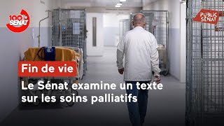 End of life: The Senate examines a bill on palliative care