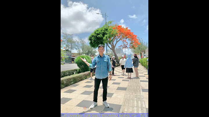 Cây phượng 'nửa hoa nửa lá' Vũng Tàu từng gây sốt, nay khiến du khách ngỡ ngàng vì thay đổi khó tin