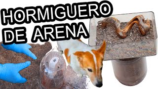 Como Hacer un HORMIGUERO CASERO DE ARENA   Terrario Para Hormigas   Tutoriales