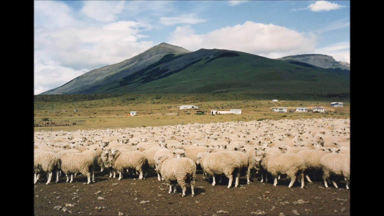 The Jewish Story: One More Dunam One More Goat
