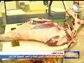 إقتصاد القابضة للمسالخ تعتزم تصدير اللحوم السودانية للسعودية 