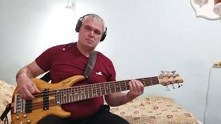 Roxette Joy Of  A Toy bass cover