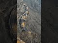 Abha Saudi Arabia Youtube Yputubeshorts 
