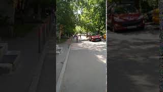 VID 20190617 141944
