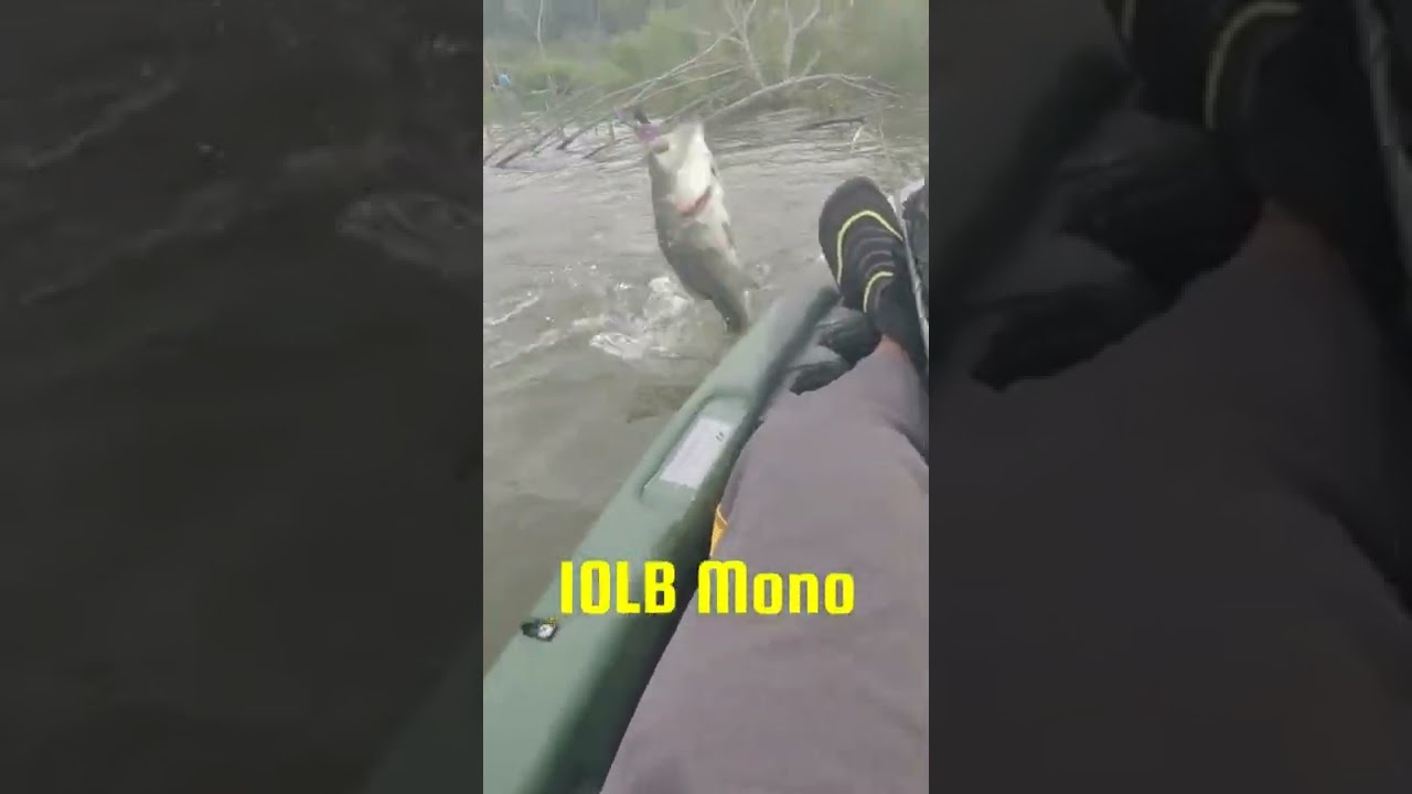 10Lb Mono Vs 12Lb Fluoro Serious Fail Shorts YoutubeShorts