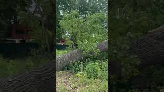 Download Lagu Windy Berlin Germany MP3