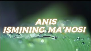 ANIS ISMINING MA'NOSI #ANIS #ISMINING #MANOSI #ISIM #ISMI #MANO #MANOLAR #BILIM #BILIMLAR #ISIMLAR_M