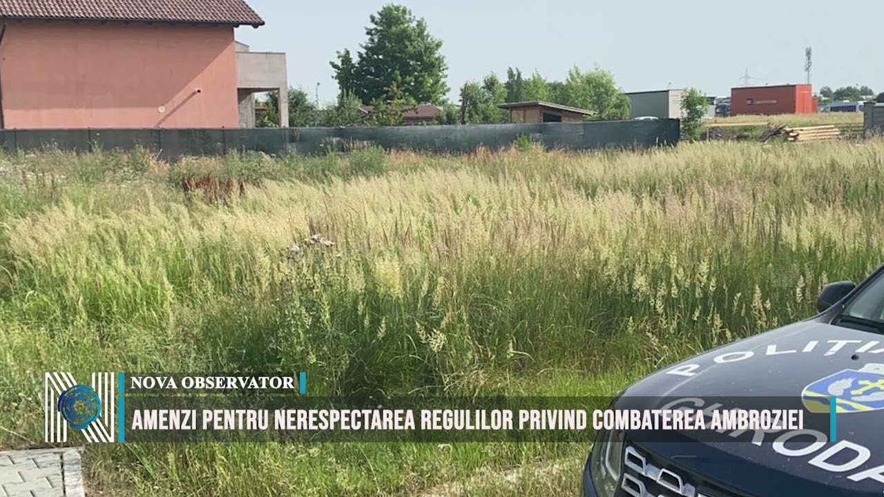 Amenzi pentru nerespectarea regulilor privind combaterea ambroziei