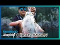 무늬오징어 신형에기 시마노 세피아 클린치 플래시부스트 SHIMANO Sephia Clinch FLASHBOOST