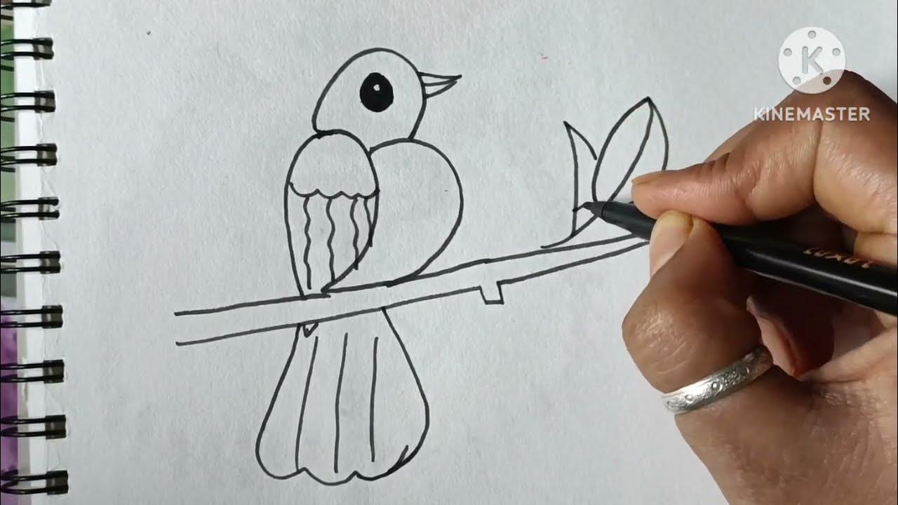 How to draw a Bird Step By Step Draw a Bird YouTube