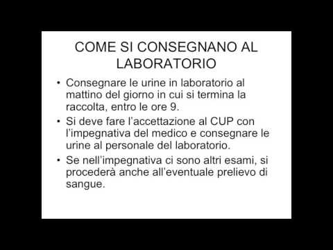 Esami di Laboratorio su urine delle 24 ore