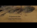 Adriano Celentano Confessa Ma Perche English Subtitles 