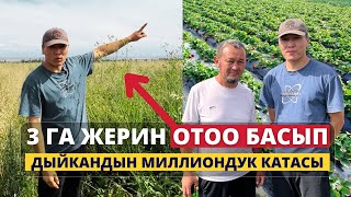 видео: 5 миллион сом отоо чөпкө айланды 😓 Ката артынан ката кетирген дыйкандын абалы кандай? картинка: 5 миллион сом отоо чөпкө айланды 😓 Ката артынан ката кетирген дыйкандын абалы кандай?