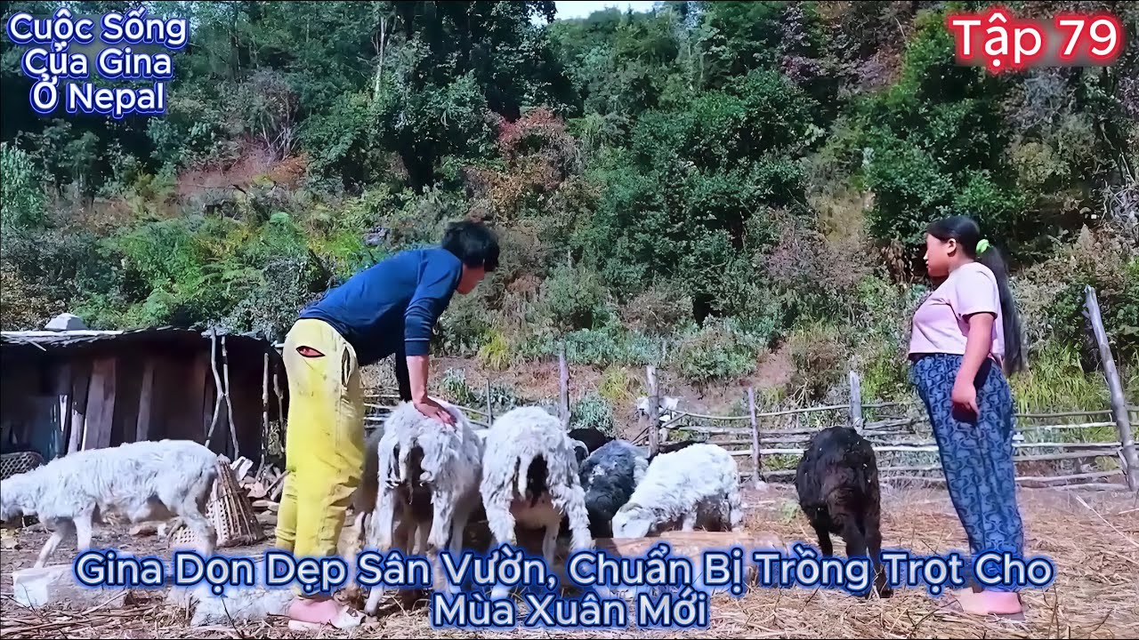 GINA Tập 79 - Cá Nhỏ Dưới Suối, Cà Ri Trên Bếp Lửa: Bữa Tối Bình Dị Của Qao San Và Adi