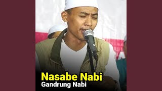 Nasabe Nabi
