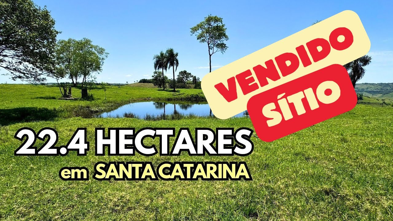 VENDIDO - SÍTIO À VENDA EM SANTA CATARINA LAGOA NATURAL CASA FRUTAS GALPÃO
