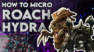 How To Micro Roach Hydra