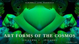 Art Forms of the Cosmos: Universe 1 - Inwards