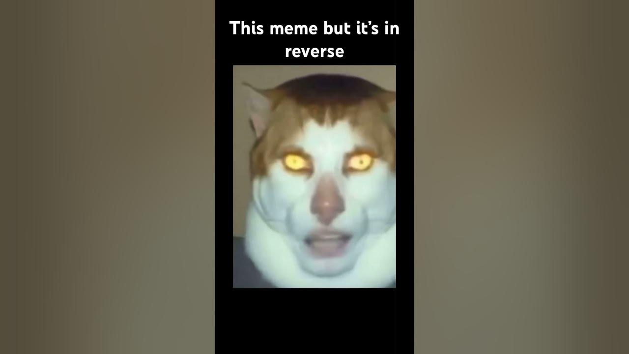 I Put It In Reverse YouTube i-put-it-in-reverse-youtube