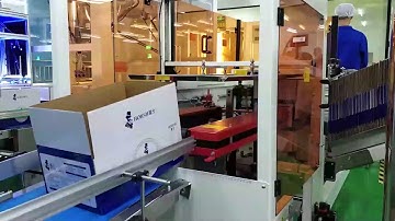 Delta robot Cake bag and milk bag packing 2021 2021221194718