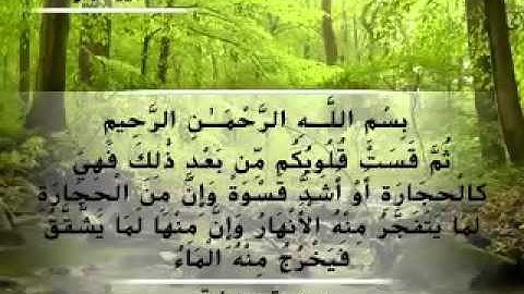 Moustafa Haredy  El Baqarah Ayah 74 | مصطفى هريدى - سورة البقرة - من أية 74
