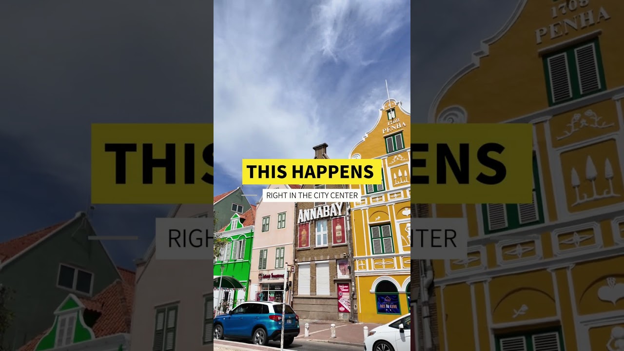 Watch This Giant Ship Enter Willemstad 🚢 #curacao #islandlife #harbor