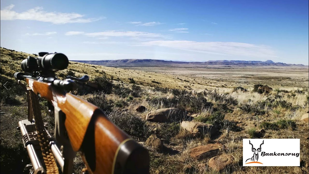 Baakensrug Kaapjag Hunt June 2022