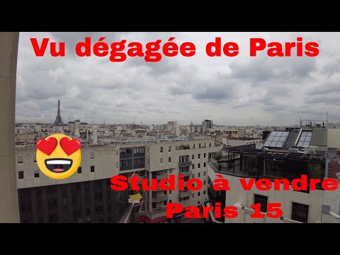 Studio à vendre Paris 15 Vaugirard, Vue dégagée de Paris et Tour Eiffel