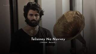 Telisiney Na Nuvvey [ Slowed Reverb Song ] | Arjun Reddy | Vijay Devarakonda | Soul Satisfy