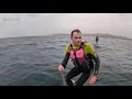 Heart stopping moment caught on camera as Great White Shark chases surfer