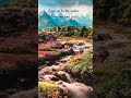 Lead me to the water.#christianhymn #houseofdavid#worshipmusic