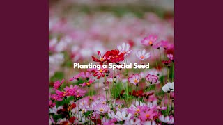 Alluring Music for Knowing Essentials